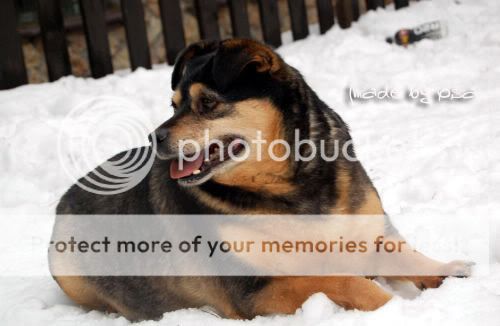 buba2.jpg