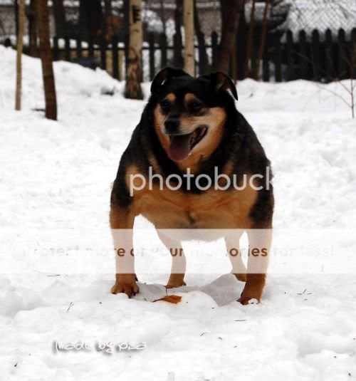 buba5.jpg