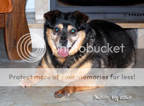 buba9.jpg