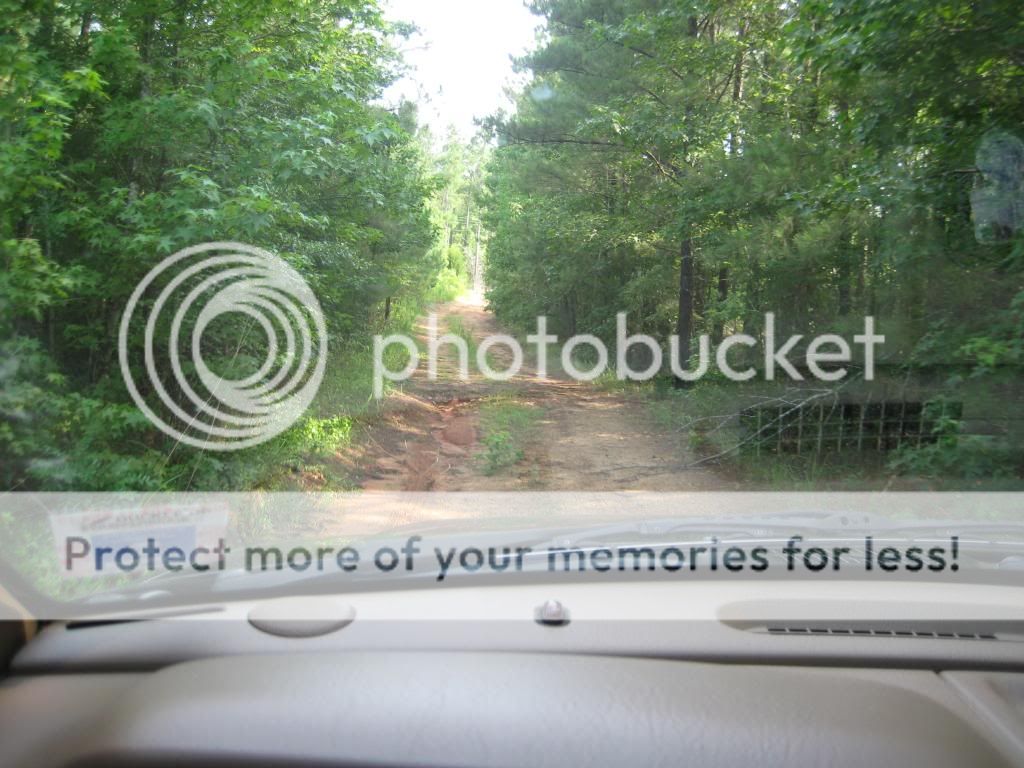 2010-06-26HuntClubScouting023.jpg