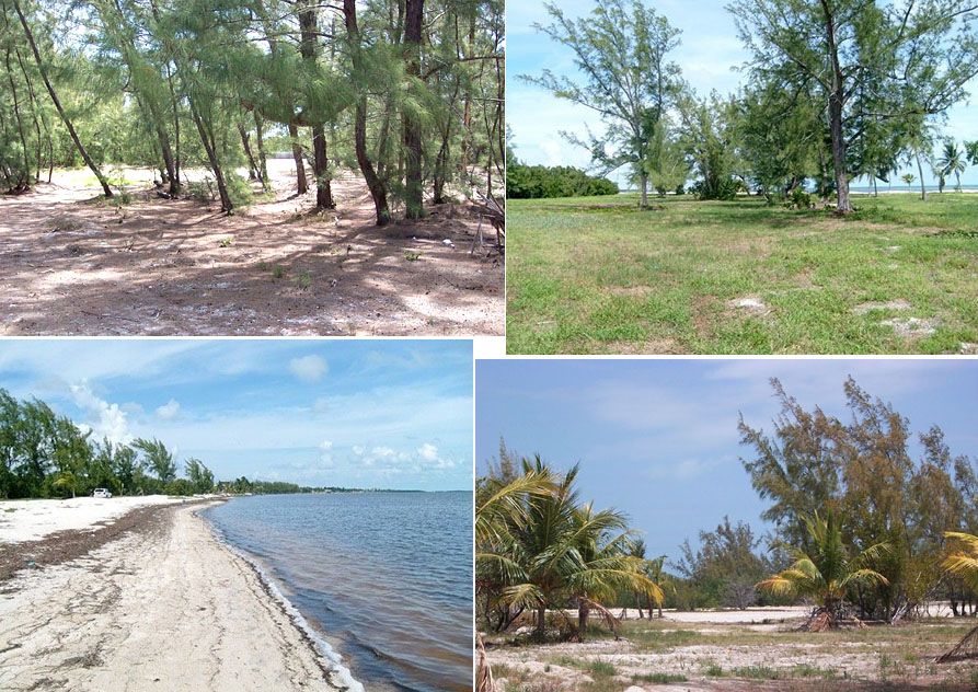 1/4 AC OCEANFRONT, Grassy Key, MARATHON, Florida Keys, Florida / Pre