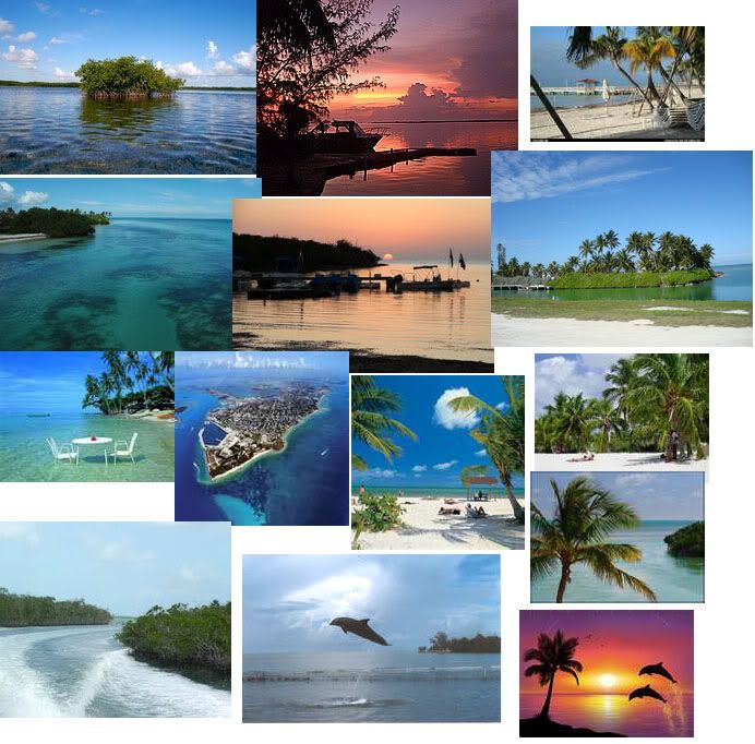 1/4 AC OCEANFRONT, Grassy Key, MARATHON, Florida Keys, Florida / Pre