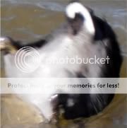 Posted Image