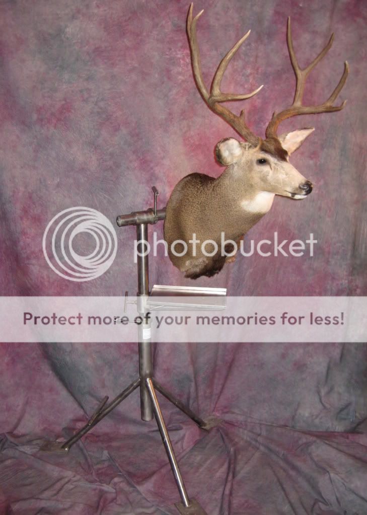 S.S. Mounting Stands to the Forum and Community!