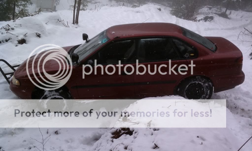 Posted Image