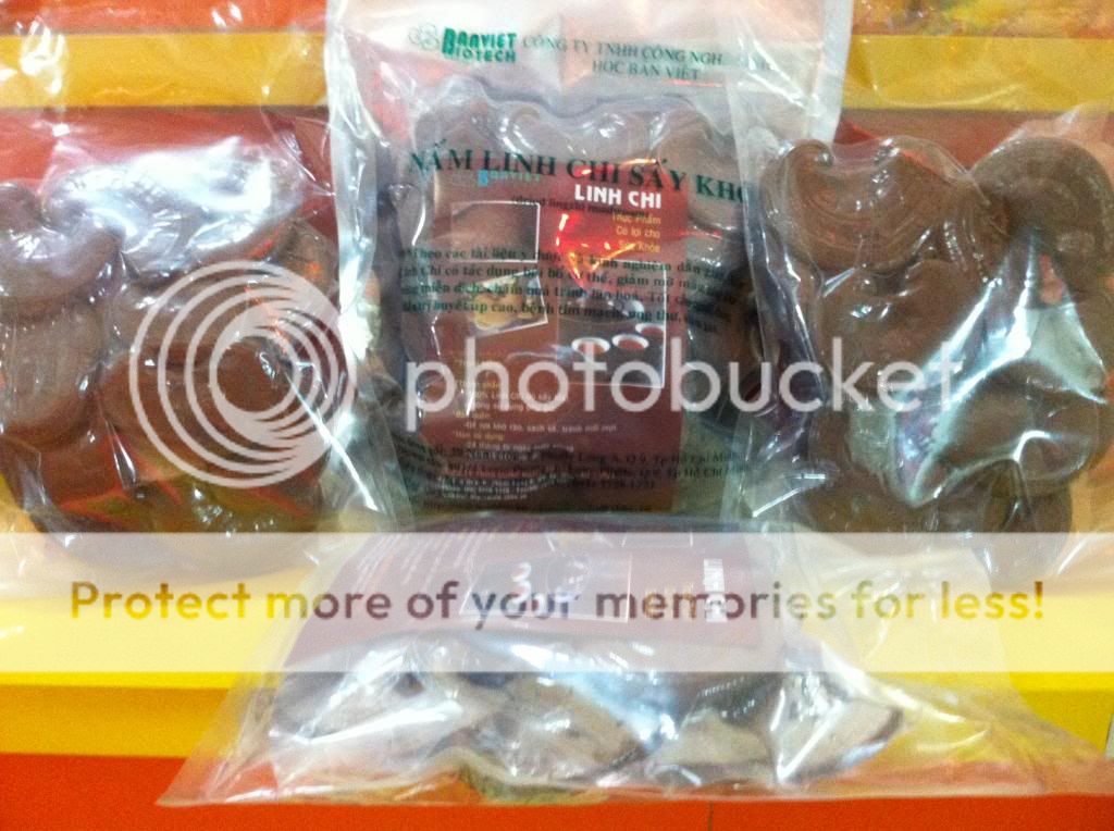 Chuyên phân phối sĩ & lẻ nấm Linh Chi - 6