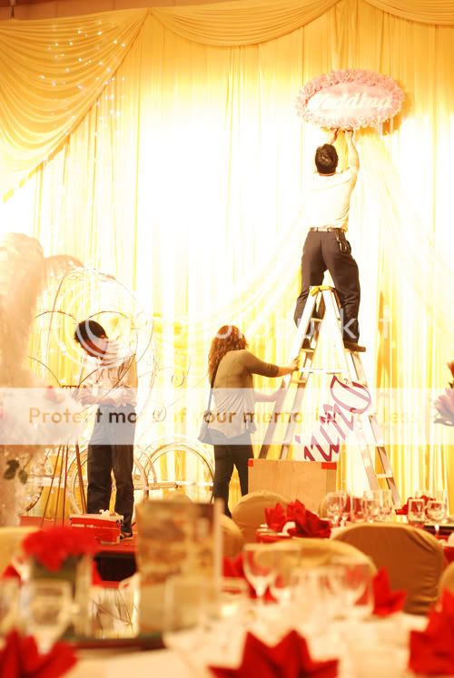 唐老师的婚礼 - Tanicol - FREEZE FRAME MEMORIA DSC_03321-1.jpg picture by Tanicol