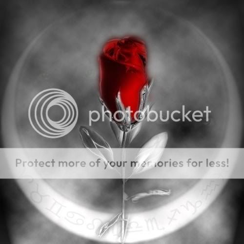 RoseRedMoon.jpg Photo by jimhebert Photobucket