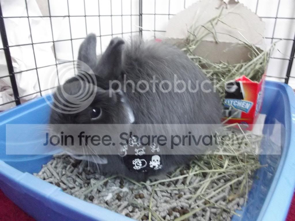  photo DSCF1979_zps926000ab.jpg