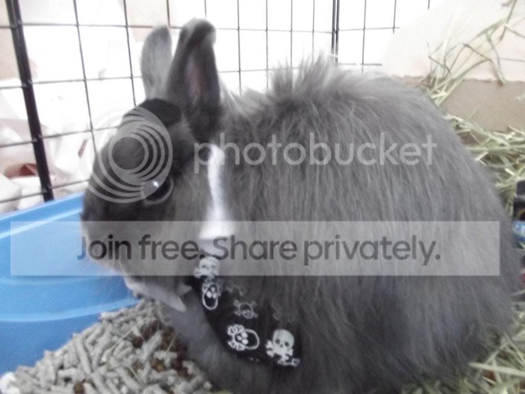  photo DSCF1980_zps2e5333ae.jpg