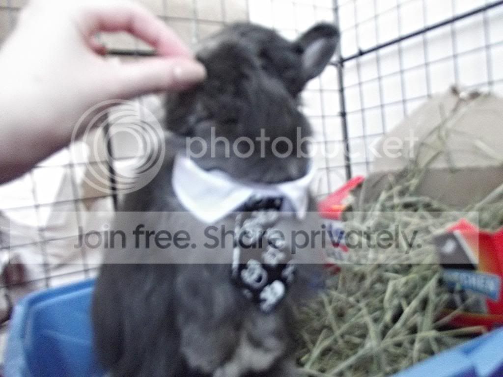  photo DSCF1990_zpsfa18e656.jpg