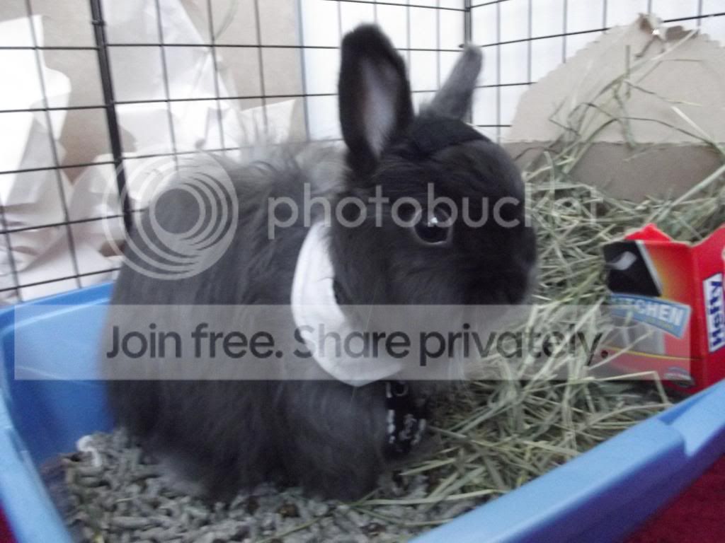  photo DSCF1991_zps0026e3d2.jpg