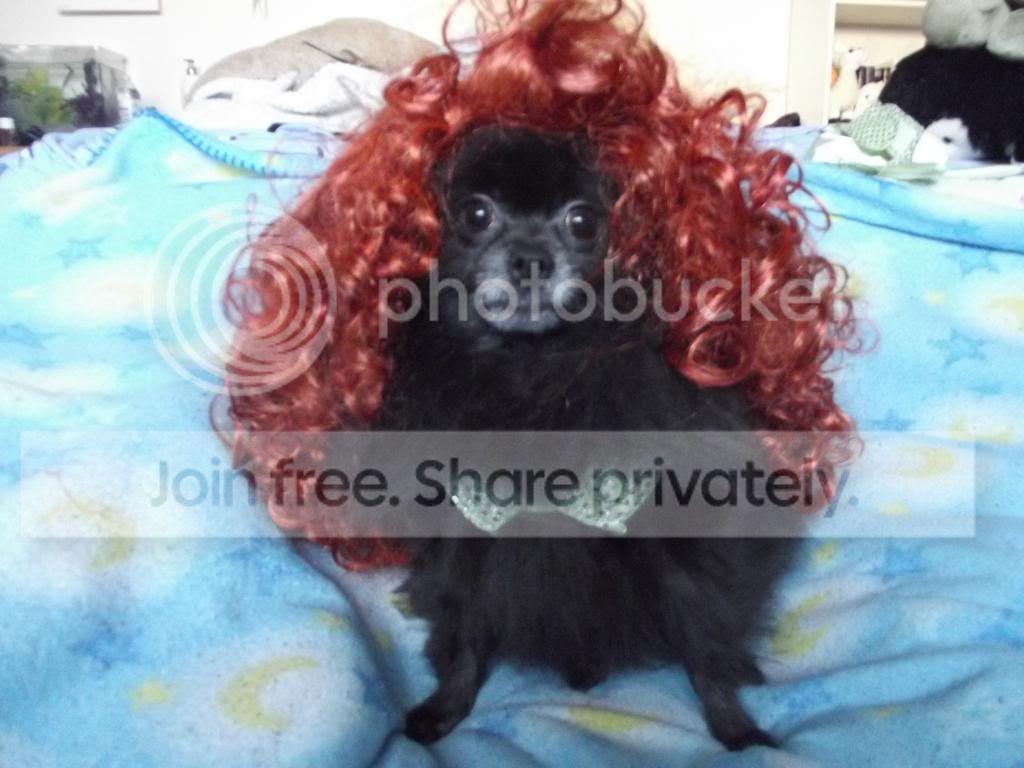  photo DSCF2009_zps9ed11a0c.jpg