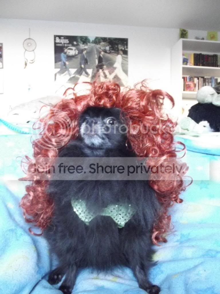  photo DSCF2011_zps87a790d1.jpg